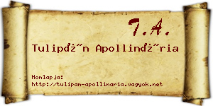 Tulipán Apollinária névjegykártya